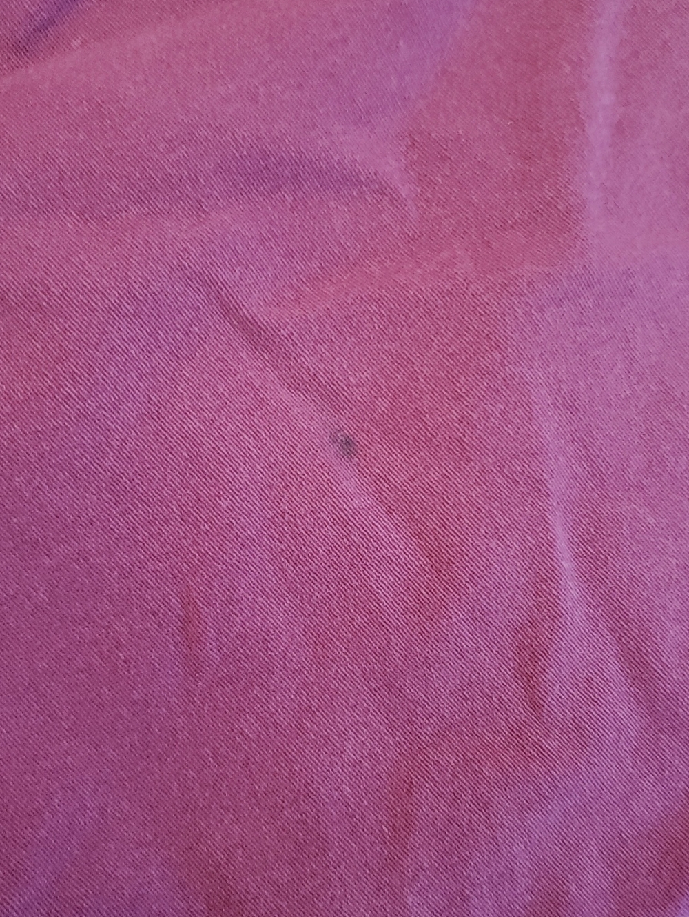Maurices Purple/Pink Chino Women’s Shorts - Picture 3 of 7